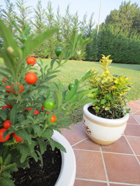 Ladino Room & Breakfast Ferrara Luaran gambar